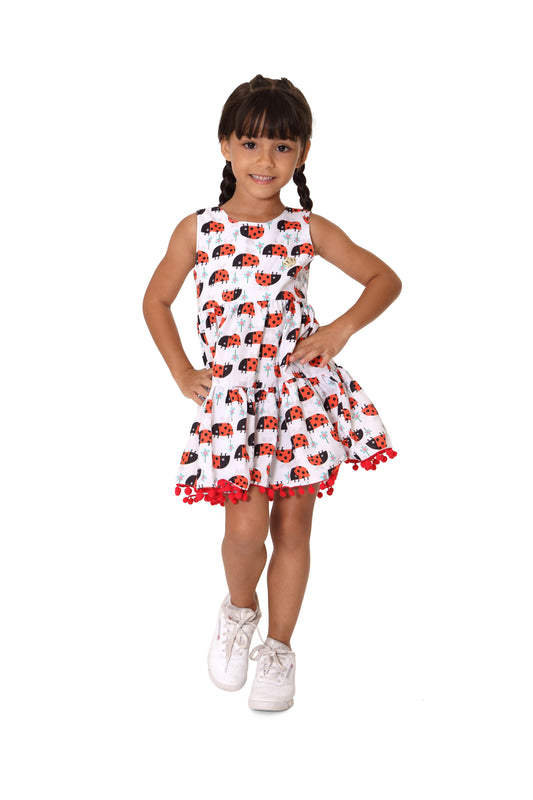 Ladybugs Little Dress Size 4